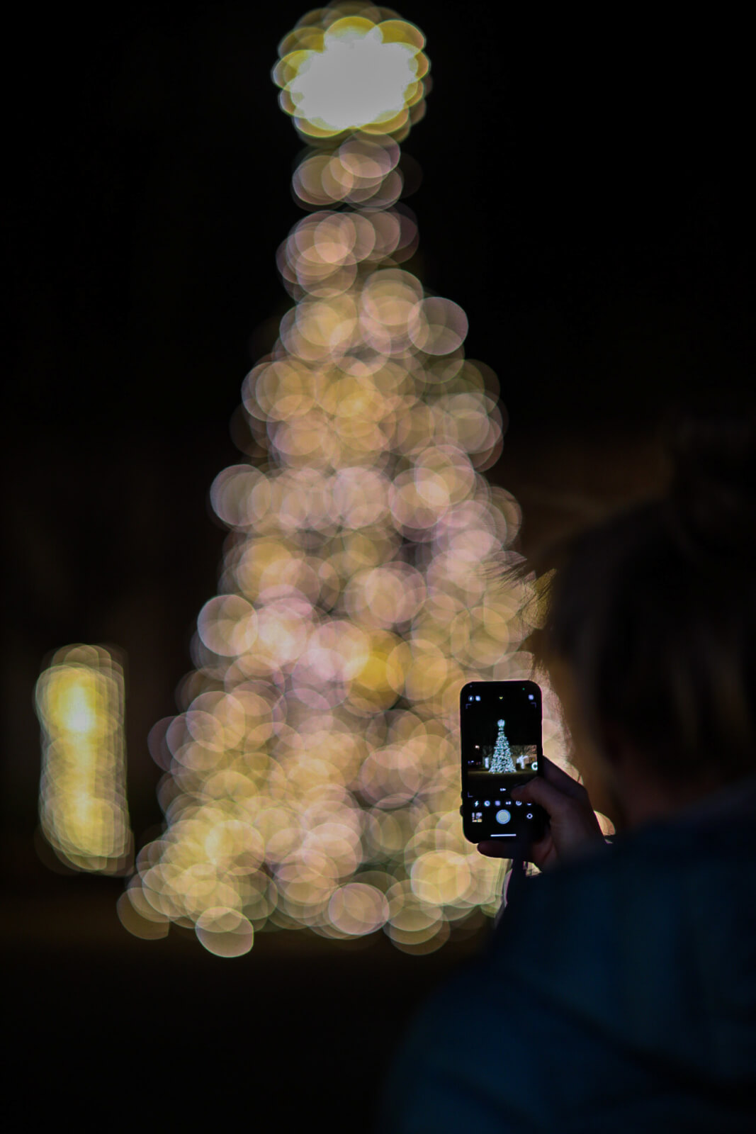 Christmas Tree Lighting & Concert Denison